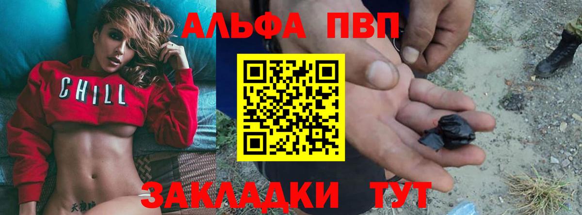 Alfa_PVP СК Тверь