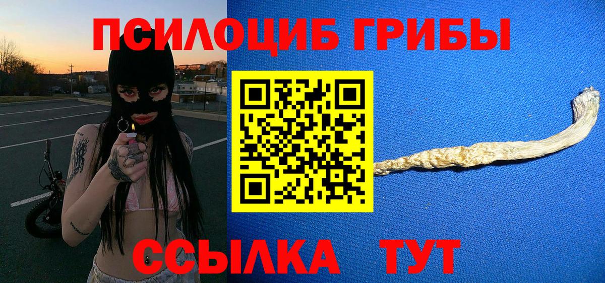 Галлюциногенные грибы Magic Shrooms Тверь